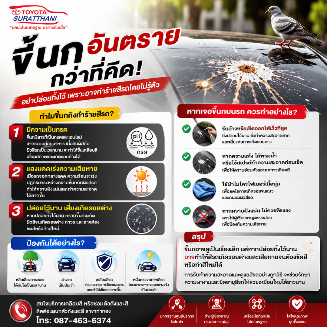ขี้นกอันตรายกว่าที่คิด ปล่อยไว้นาน อาจทำให้สีรถเสียหายโดยไม่รู้ตัว